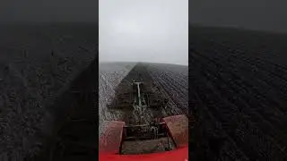 весенняя посевная 2024 май #сельскоехозяйство #agro #farming