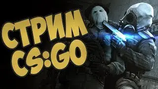 CS:GO | Вечерний стрим