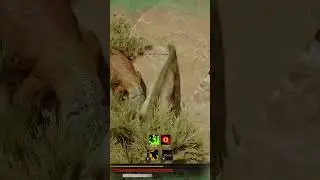 Never Again BARSBOLDIA  On Officials - Path Of Titans!