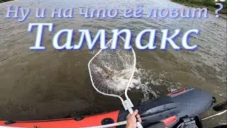 На что же её ловить  Щука в корягах Тролинг