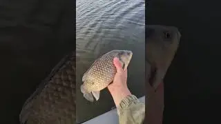 Отпустил