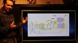 Fotosíntesis (fase luminosa)