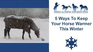 5 Ways To Keep Your PSSM/MIM Horse Warmer This Winter