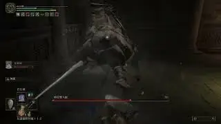 ELDEN RING_神皮雙人組
