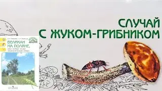 Случай с жуком-грибником. Великан на поляне