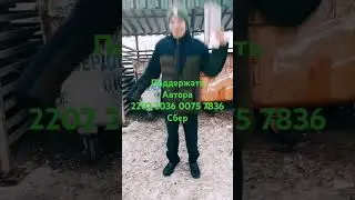 Нашел зарядку на мусорки🤣