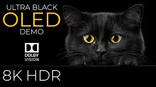 ULTRA Black OLED Demo HDR 8K Ultra HD Dolby Vision™ 60fps