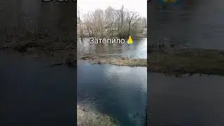Затопило🙏🙏🙏.    р.Снежка вышла из берегов.