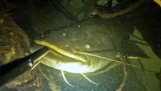 День знаний и сомов