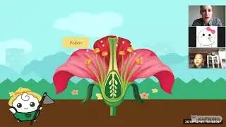 UKCPS Lesson Sample- Year 3 Science