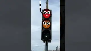 Goodland | Traffic light🚦