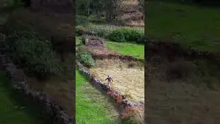 Canta perú