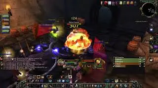 WoW Classic SoD level 25 melee survival hunter pve The Stockade