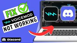 How To Fix Voicemod Not Working On Discord