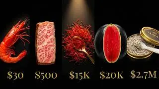 The Most Expensive Foods in the World Explained by Levels (The Last One Costs More Than a House)