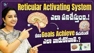 Reticular Activating System: How It Helps You Set Goals | Dr. Rajitha Vanga | Manifestation Coach
