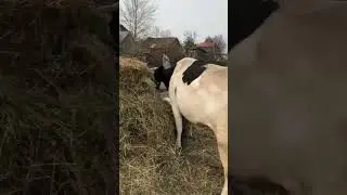 Наш завод по производству удобрений и его сотрудники