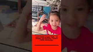 Sedihnya, diorang baru je melancong ke Tasik Kenyir tahun lepas. 
