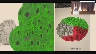 Henriette Bier (TU Delft) – Computational Strategies ...