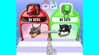 Doggy Run All Levels Gameplay Trailer Android,ios New Game