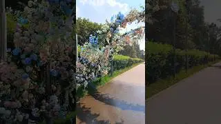 Время пролетало в кайф... И музыка играла It's my life #love  🌸🌱🦋🦄