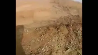 left behind