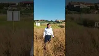 Рижик биологияси ва етиштириш технологияси