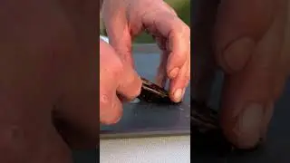 Eating Raw Oysters- Salt Grass Point Oysters #oysters #seafood #tastetest
