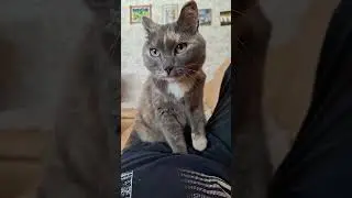 массаж заказывали!?
