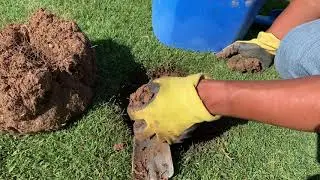 Irrigation 2.0: Optimizing My Irrigation System//Watering Basics//Hunter MP Rotators