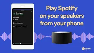 Play Spotify on speakers and other devices