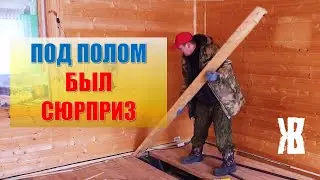 Разбираем  полы на первом этаже дома в деревне. Сняли доски а там.. ЖКВ_Живу Как Вижу