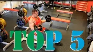 HERO TOP5 rankų pratimai Dainius Dzikevičius I dalis bicepsas