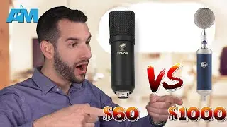 $60 microphone vs $1000 microphone : TONOR vs. Blue