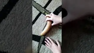 КАК ОТКРЫВАТЬ БАНАН БЕЗ НОЖА ЛАЙВХАК!