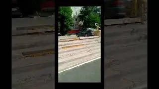 Неожиданная встреча. #shorts