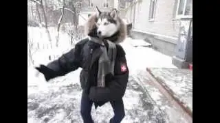 ПРИКОЛ!