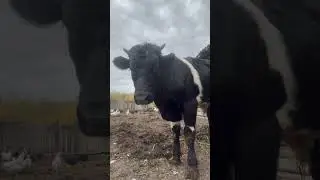 Архив