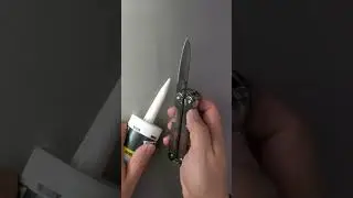 Your next 