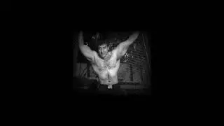 SUNNY DEOL SI BODY(SLOWED + REVERB)