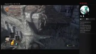 Mr-Laggy-Lag's Live Dark Souls 3 let's play