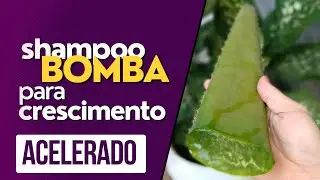 Shampoo Caseiro de Babosa Potencializado para Crescimento Capilar Acelerado