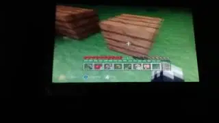 Minecraft Survival   (1)