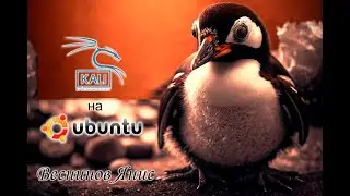 Установка инструментов Kali Linux на Ubuntu Linux