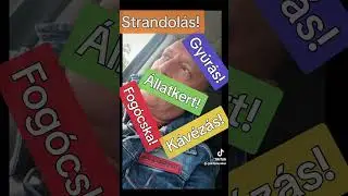 Ajándékozunk?