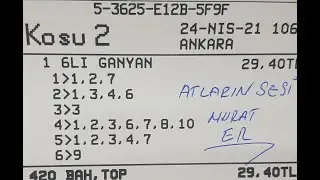 25 NISAN ADANA AT YARISI TAHMIN VE ANALIMZLERI MURAT ER WHATSAP 0533 132 77 49
