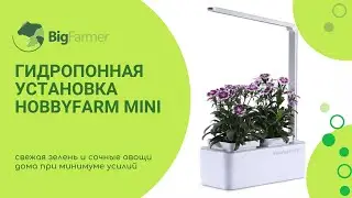 Домашняя умная грядка гидропонная установка для подоконника HobbyFarm Mini