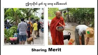 Offering Food at Thai & Myanmar