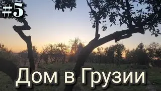 #5 Дом в Грузии
