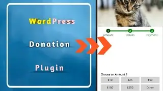 Boost your fundraising with the top WordPress Donation plugin